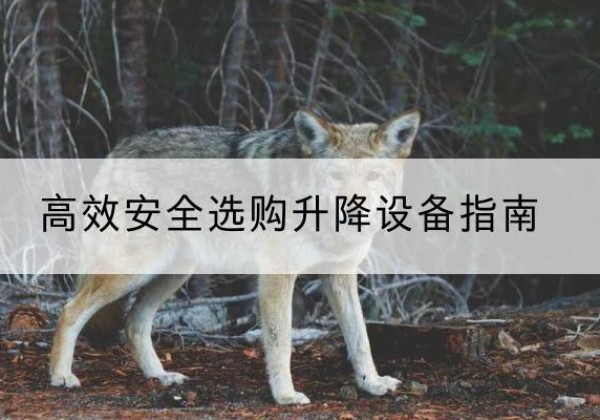 莱山升降货梯厂家推荐-*安全选购升降设备指南