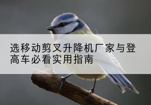莱山电动升降机厂家-选移动剪叉升降机厂家与登高车必看实用指南