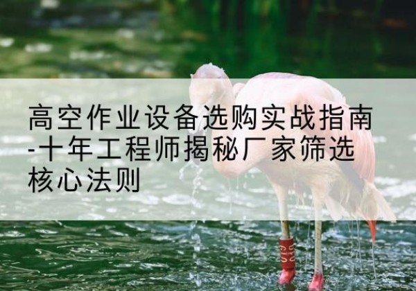 莱山剪叉式升降机厂家-高空作业设备选购实战指南-十年工程师揭秘厂家筛选核心法则